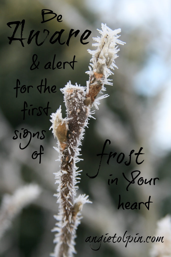 frost1