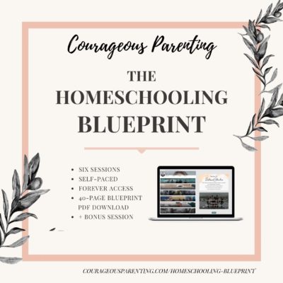The Homeschooling Blueprint Course